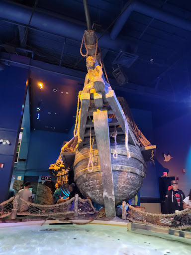 Aquarium «SEA LIFE Minnesota Aquarium», reviews and photos, 120 E Broadway, Bloomington, MN 55425, USA