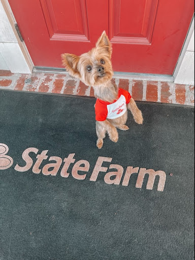 Insurance Agency «Horace Wilkinson - State Farm Insurance Agent», reviews and photos