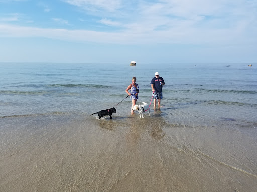 Grocery Store «White Horse General Store», reviews and photos, 121 White Horse Rd, White Horse Beach, MA 02381, USA