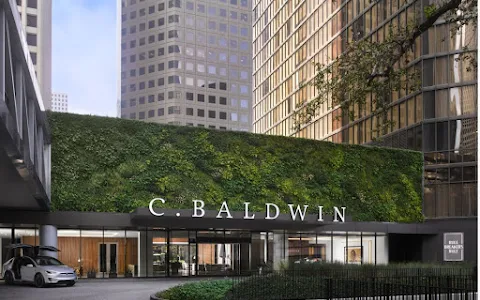C. Baldwin, Curio Collection by Hilton image