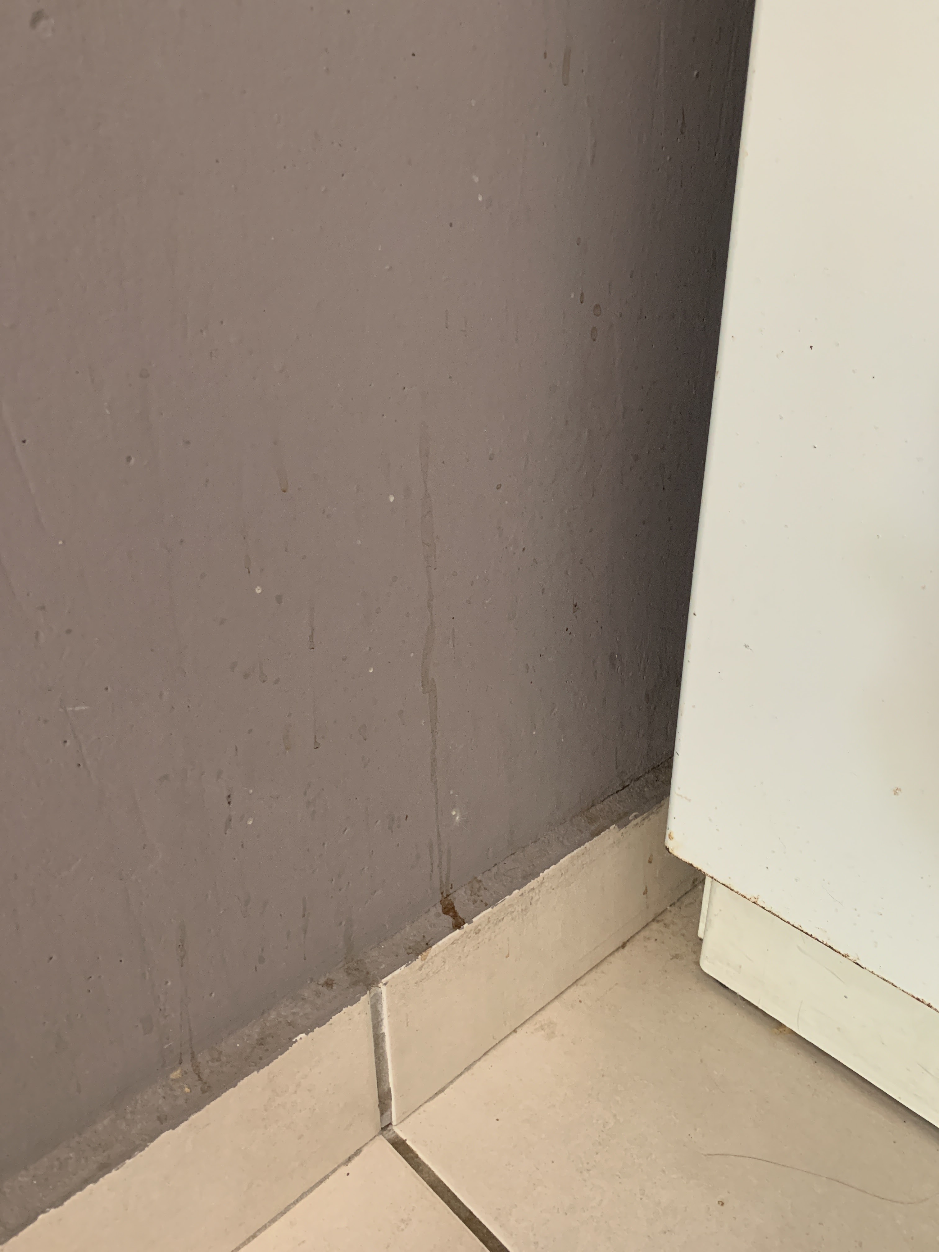 Photo n° 4 de l'avis de Susurite. fait le 23/06/2019 à 15:19