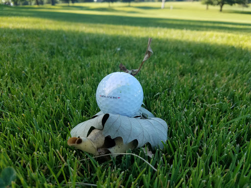 Country Club «Nippersink Golf Club & Resort», reviews and photos, N1055 Tombeau Road, Genoa City, WI 53128, USA