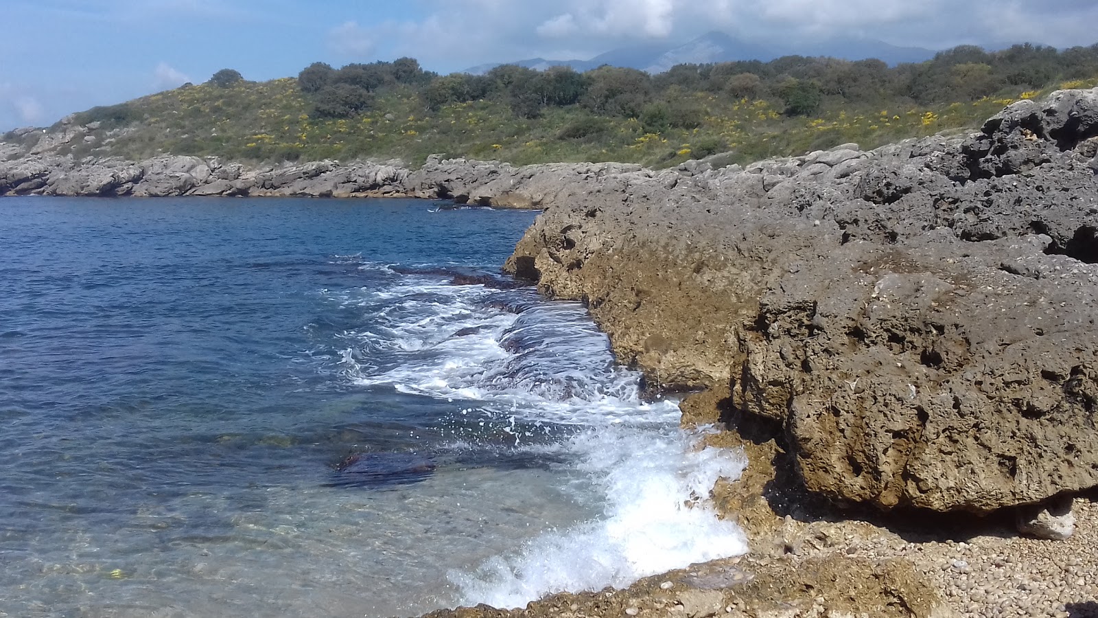 Porto Cofaniello Beach'in fotoğrafı vahşi alan