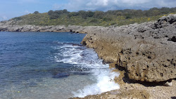 Porto Cofaniello Beach'in fotoğrafı vahşi alan