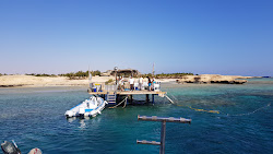 Mangrove Bay Resort'in fotoğrafı - rahatlamayı sevenler arasında popüler bir yer