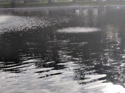 Park «Riverside Park», reviews and photos, 753 Park St, Jacksonville, FL 32204, USA