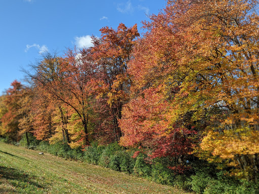 Park «Carney Park», reviews and photos, 386 W Main St, Northborough, MA 01532, USA