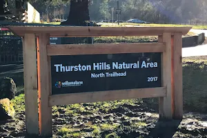 Thurston Hills Natural Area image