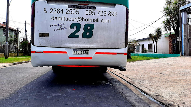 Damitour traslados - Agencia de viajes
