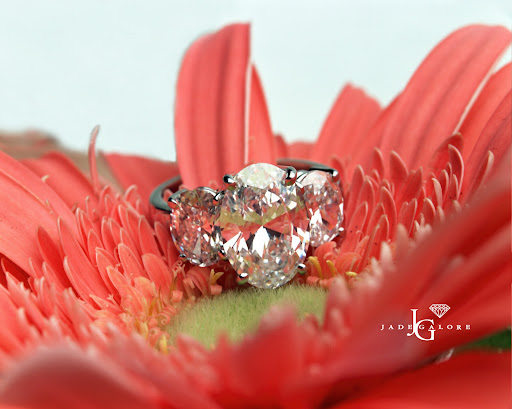 Jeweler «Jade Galore», reviews and photos, 316 Barber Ct, Milpitas, CA 95035, USA