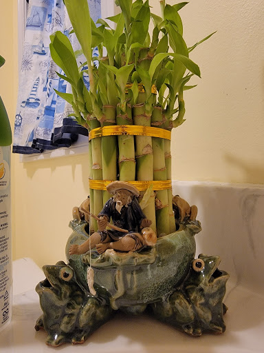 Flea Market «Raynham Flea Market», reviews and photos, 480 S St W, Raynham, MA 02767, USA