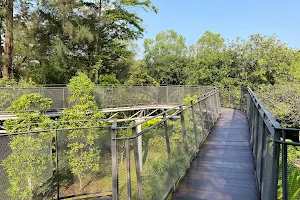 Titiwangsa Canopy Bridge image