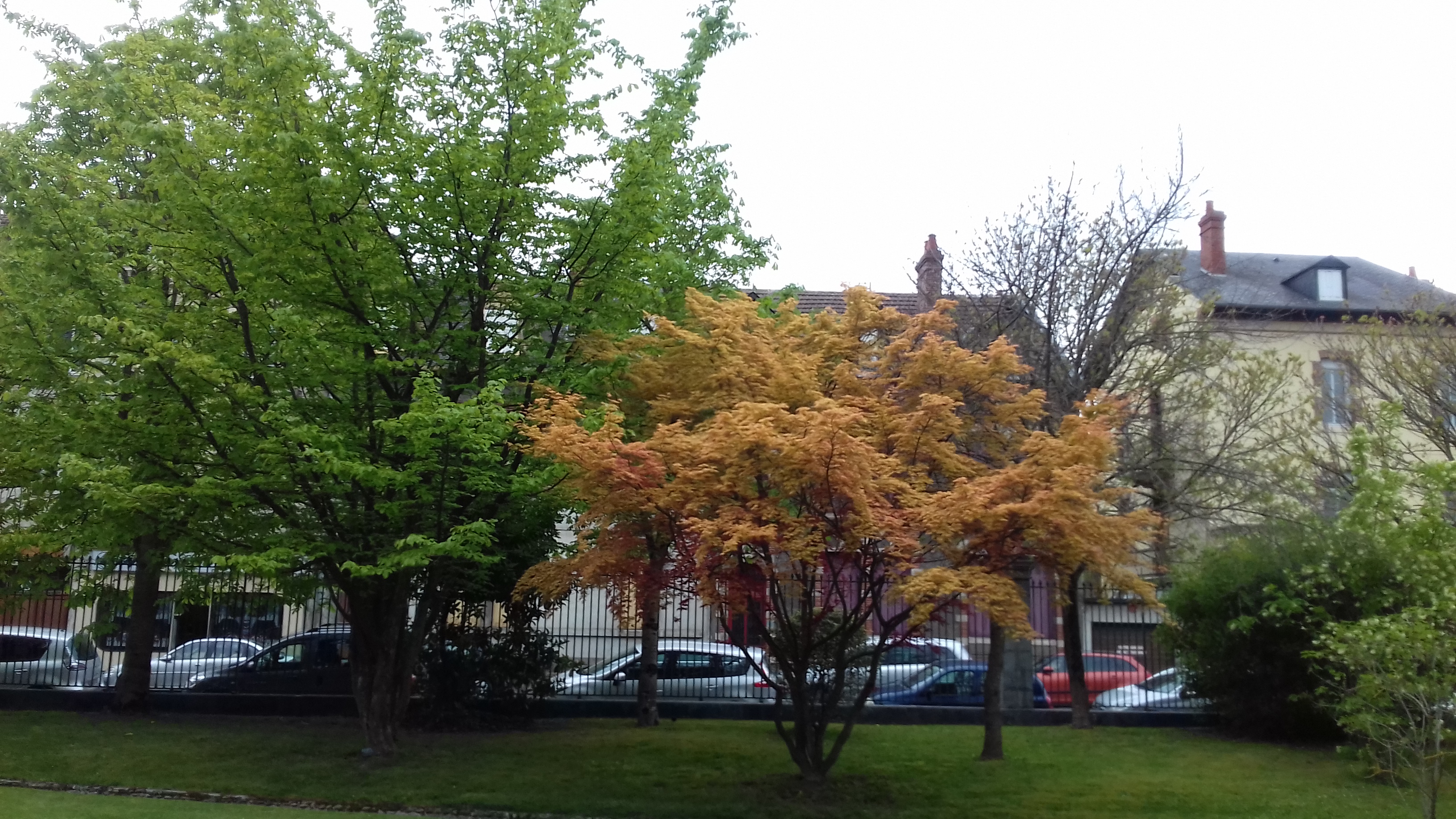 Photo n° 15 de l'avis de veronique.a fait le 12/04/2019 à 05:39