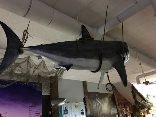 Aquarium «Team ECCO Ocean Center & Aquarium», reviews and photos, 511 N Main St, Hendersonville, NC 28792, USA