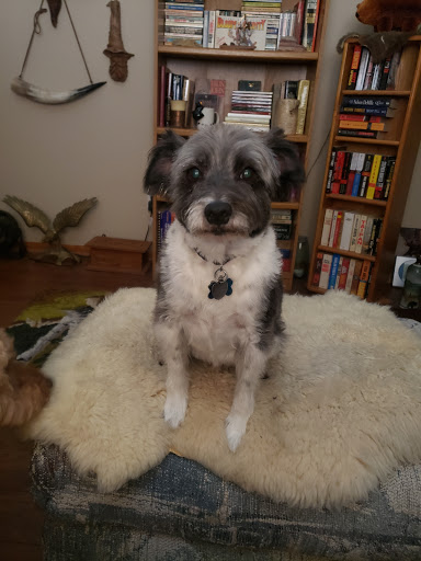 Pet Supply Store «PetSmart», reviews and photos, 11183 S Parker Rd, Parker, CO 80134, USA