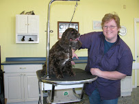 Mon Cheri Grooming - Photo 2 - Car repair in Brookfield, WI, Milwaukee