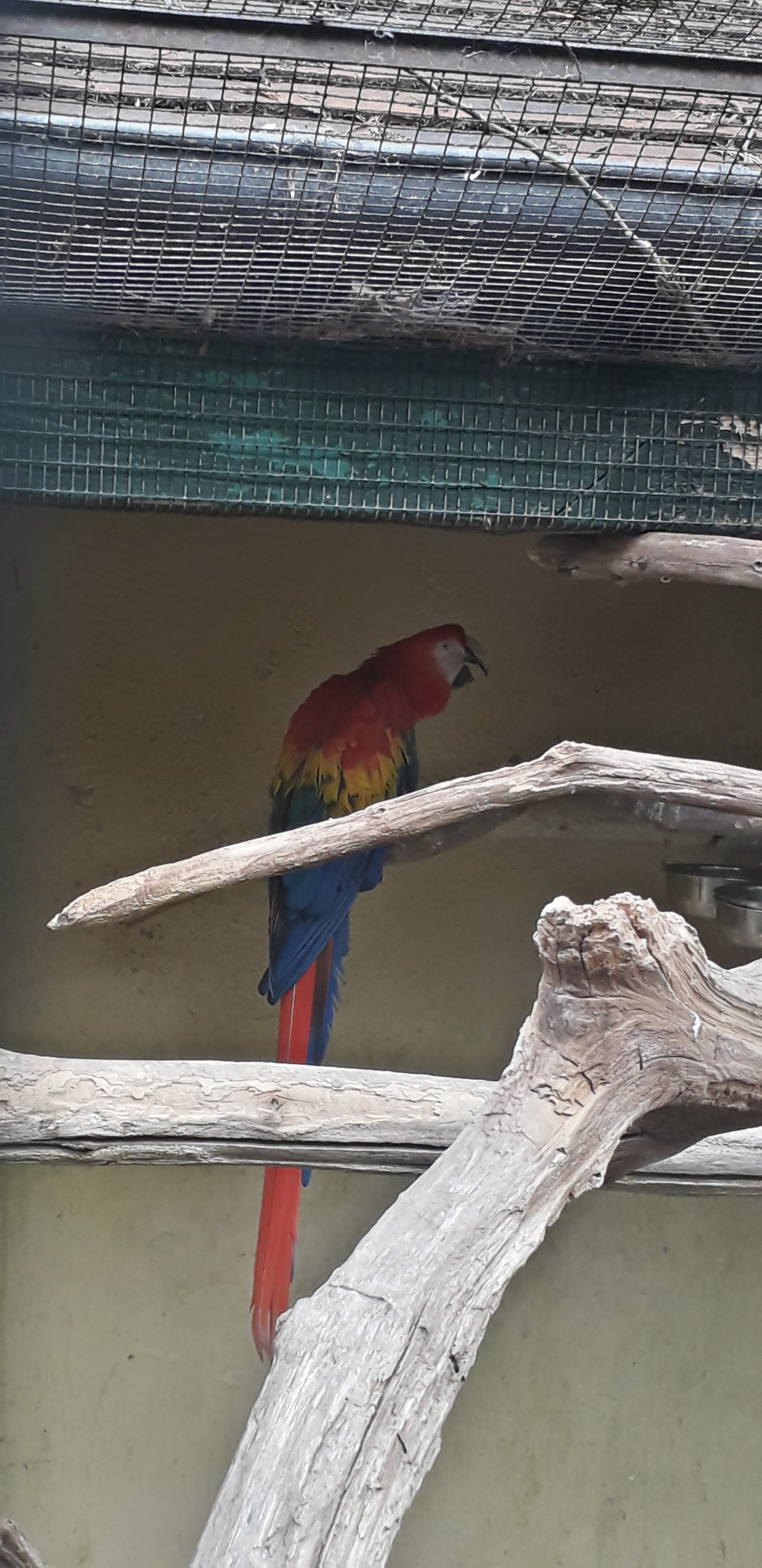 Photo n° 35 de l'avis de lilou.i fait le 19/09/2020 à 16:48