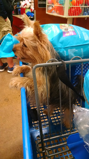 Pet Supply Store «PetSmart», reviews and photos, 1742 E 3rd St, Williamsport, PA 17701, USA