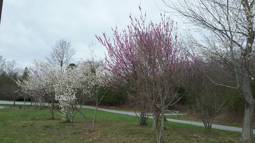 National Park «Blue Ridge National Heritage Area», reviews and photos, 195 Hemphill Knob Rd, Asheville, NC 28803, USA