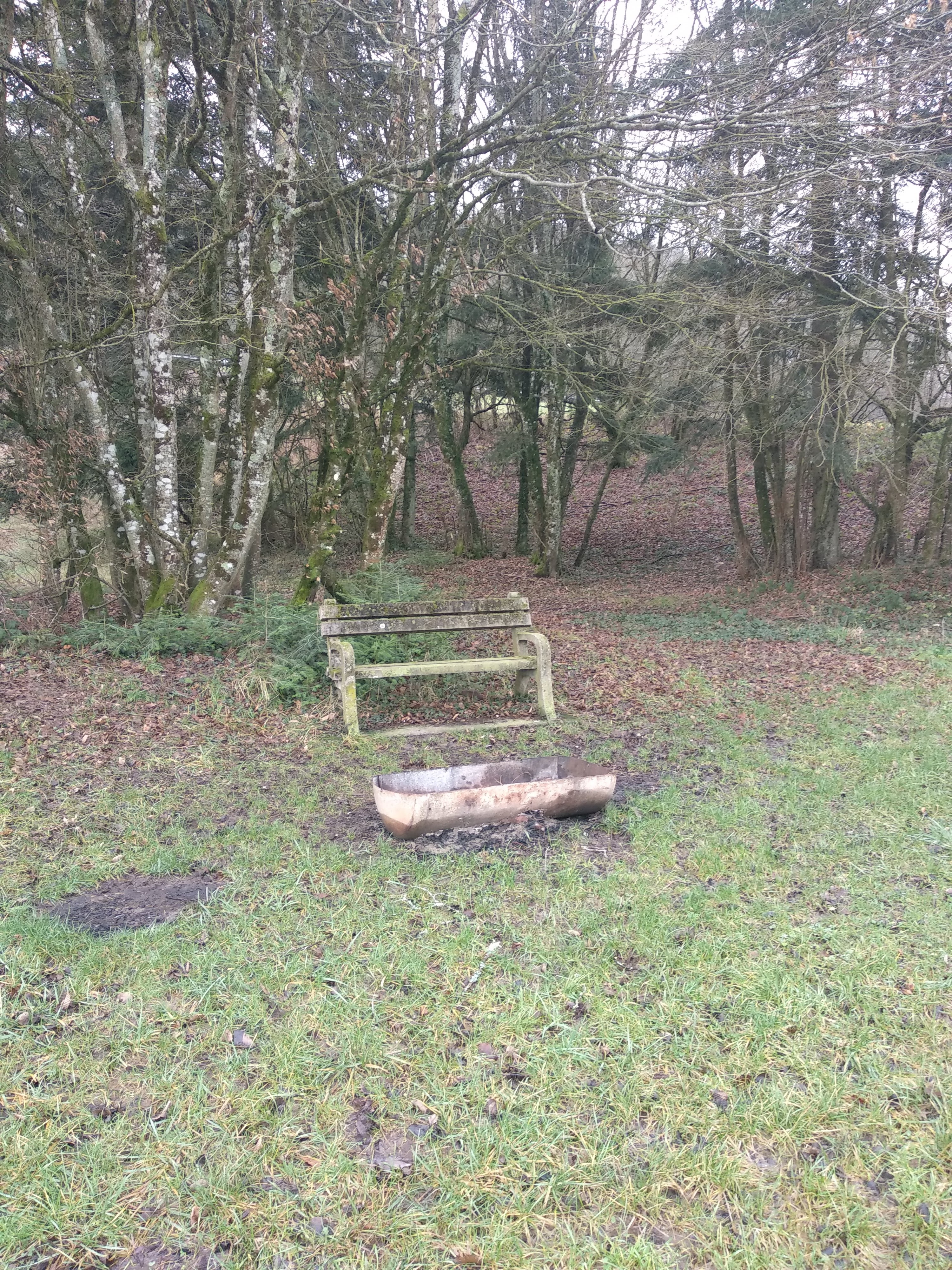 Photo n° 1 de l'avis de Taras.a fait le 27/12/2019 à 00:52