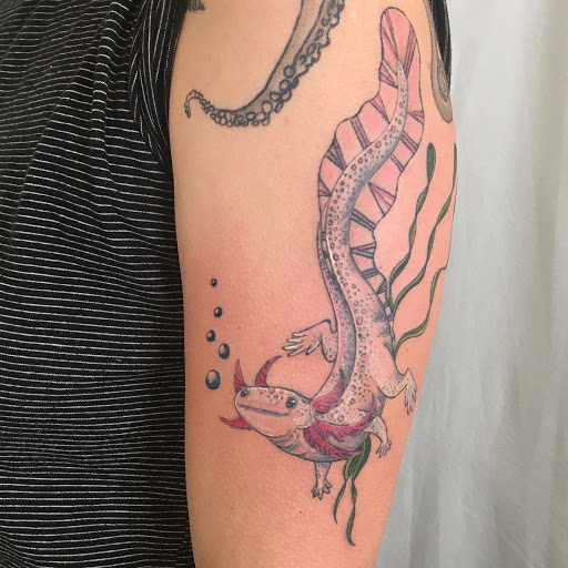 Explore crown of thorns tattoo ideas, creative tattoo ideas in Fort Collins, available at Meadowlark Tattoo