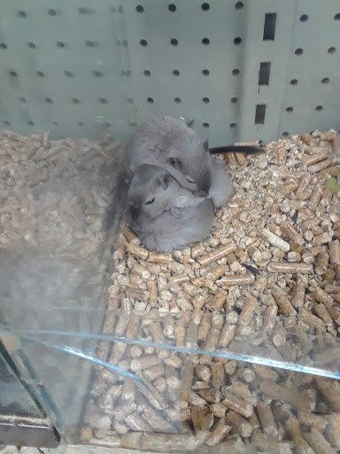 Pet Store «Pettin Place», reviews and photos, 1121 S Wells Ave, Reno, NV 89502, USA