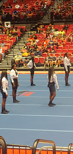 NIU Convocation Center image 8