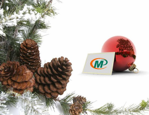 Commercial Printer «Minuteman Press Printing in PLANO», reviews and photos, 3115 W Parker Rd #390, Plano, TX 75023, USA