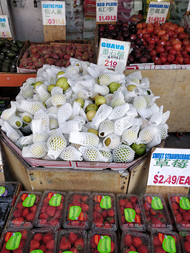 Grocery Store «Ace Market», reviews and photos, 6511 Bay Pkwy, Brooklyn, NY 11204, USA