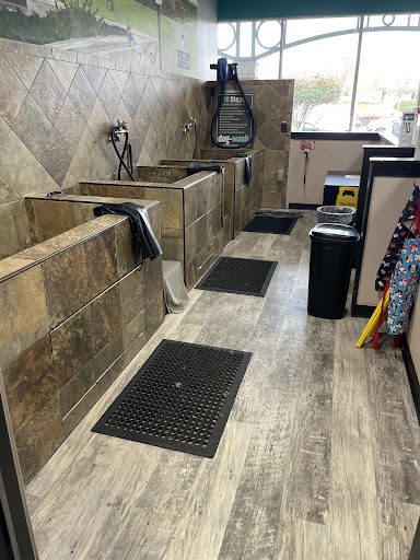 Pet Supply Store «Pet Supermarket, Inc.», reviews and photos, 1052 Peachtree Industrial Blvd, Suwanee, GA 30024, USA