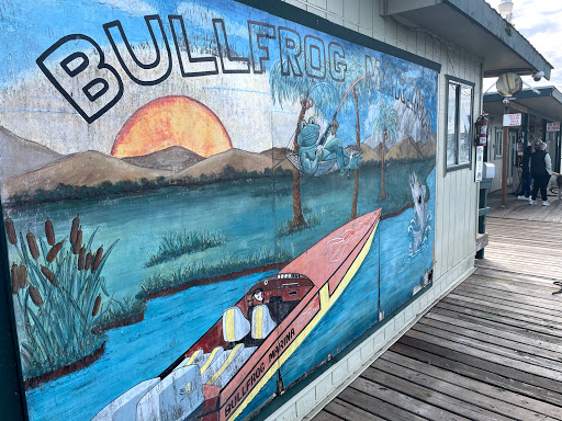 Marina «Bullfrog Marina», reviews and photos, 17251 Bacon Island Rd, Stockton, CA 95219, USA