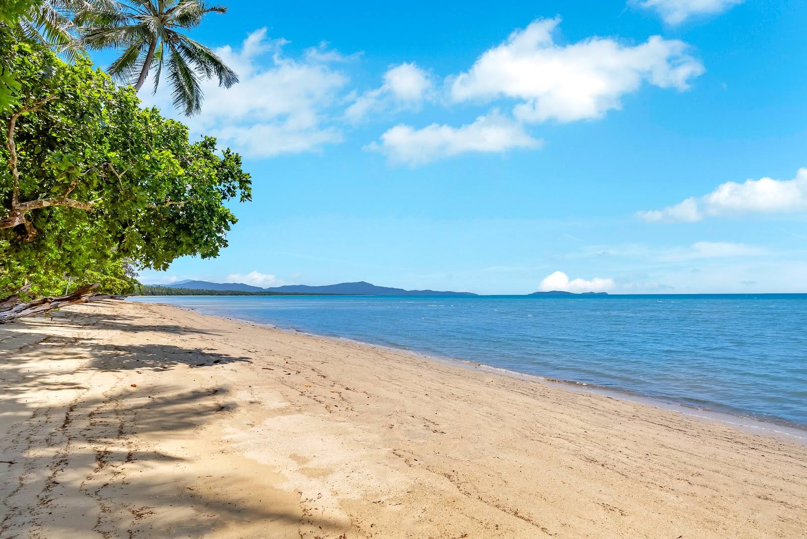 Zdjęcie Wonga Beach z powierzchnią beżowy piasek