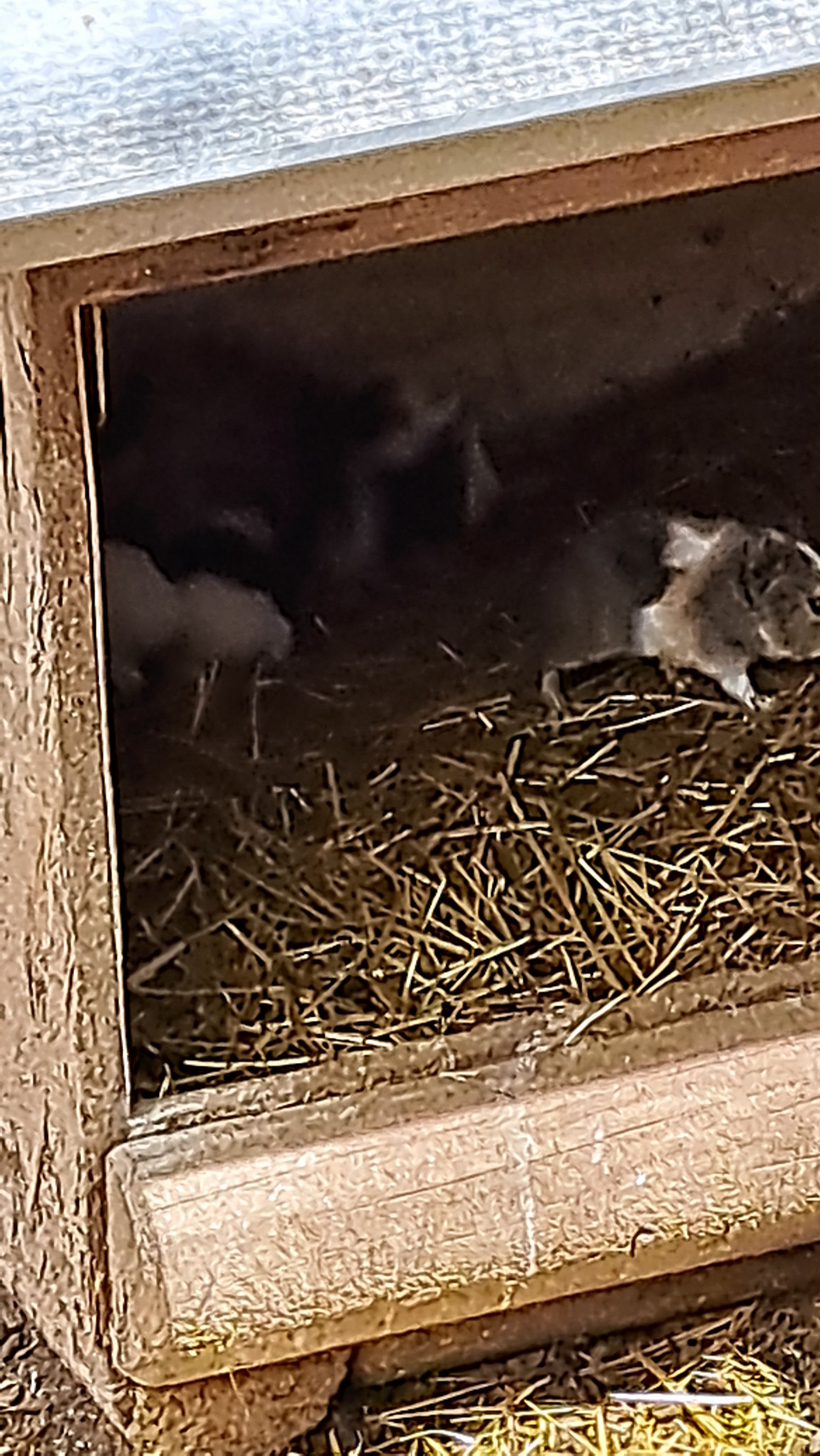 Photo n° 6 de l'avis de gijsbert. fait le 15/08/2023 à 14:08