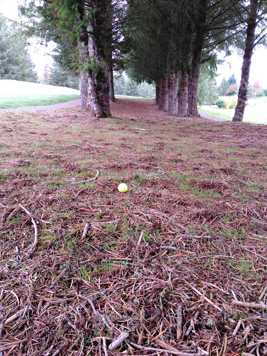 Golf Course «Blue Boy West Golf Course», reviews and photos, 27927 Florence Acres Rd, Monroe, WA 98272, USA