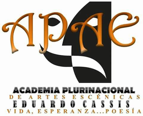 Academia Plurinacional De Artes Escenicas