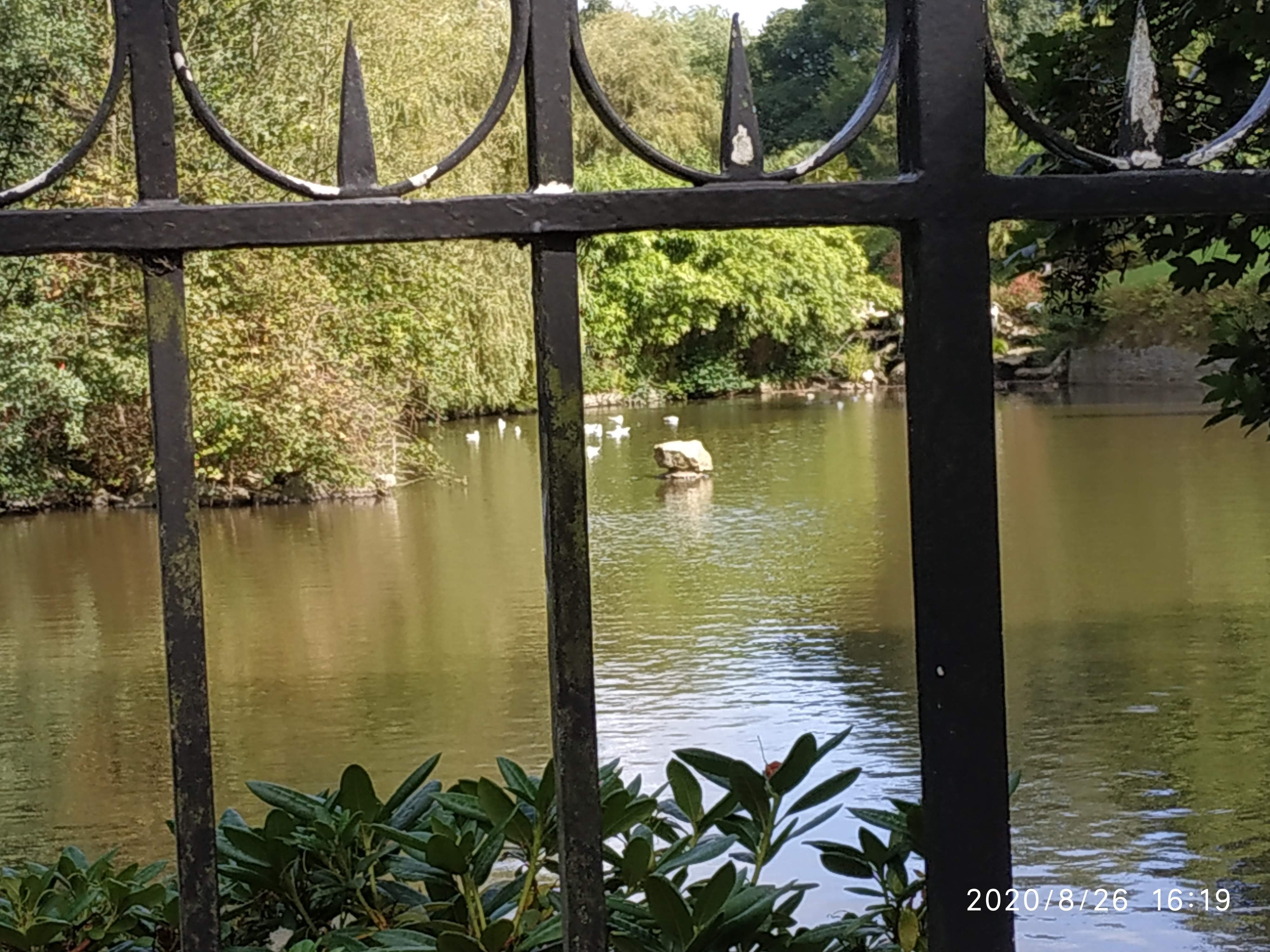 Photo n° 20 de l'avis de Marie-Hélène.A fait le 10/09/2020 à 22:40