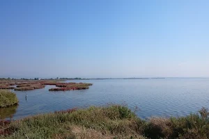 Amvrakikos Wetlands National Park image