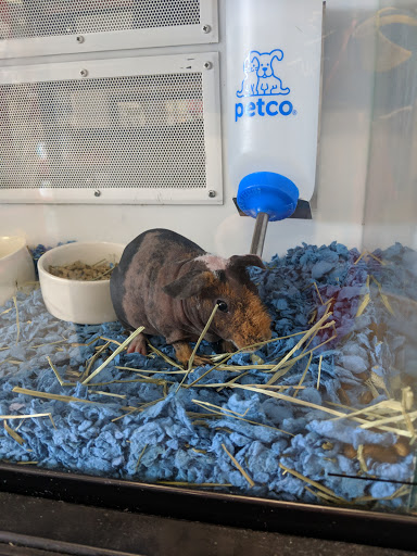 Pet Supply Store «Petco Animal Supplies», reviews and photos, 430 N Euclid St, Anaheim, CA 92801, USA