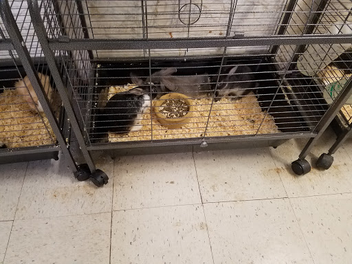 Pet Supply Store «Whiteway Pet Shop», reviews and photos, 950 Elizabeth Ave, Elizabeth, NJ 07201, USA