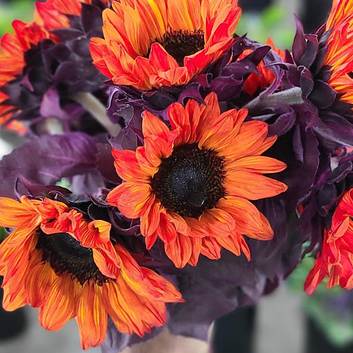 Florist «Berkeley Florist Supply Co Inc», reviews and photos, 2360 NW 23rd St, Miami, FL 33142, USA