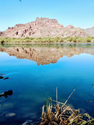Tourist Attraction «Salt River Tubing», reviews and photos, 9200 N Bush Hwy, Mesa, AZ 85215, USA