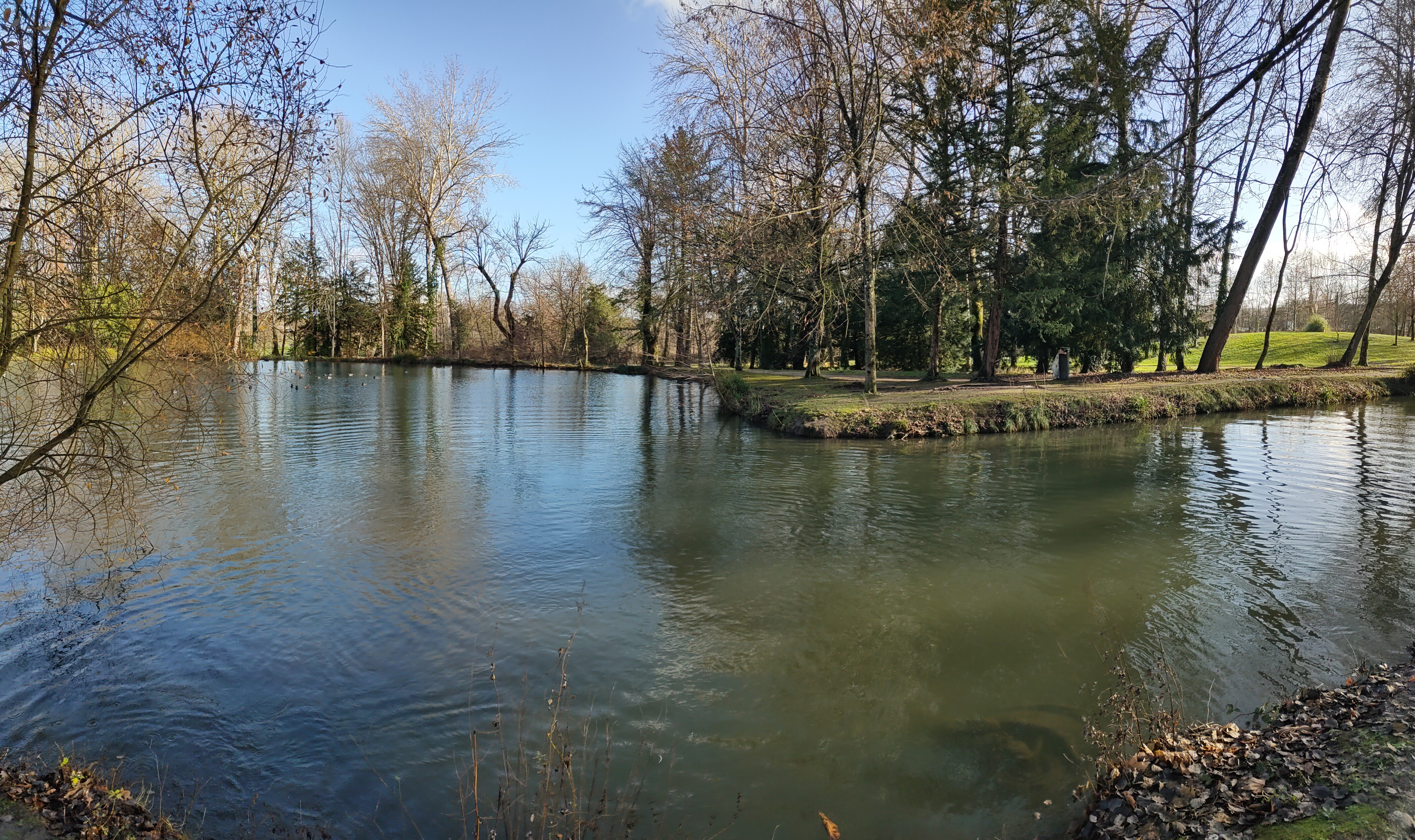 Photo n° 1 de l'avis de Timéo.O fait le 27/12/2019 à 11:22