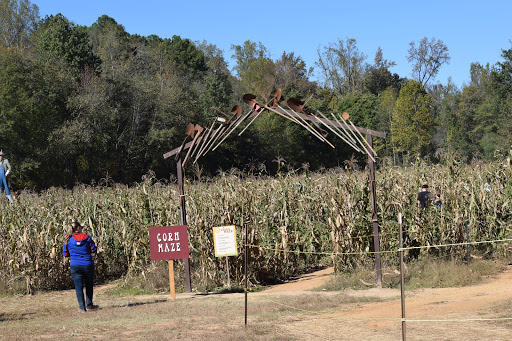 Tourist Attraction «Still Family Farm, LLC», reviews and photos, 5630 Macland Rd, Powder Springs, GA 30127, USA