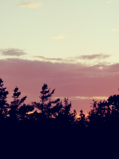 Vista Point «Schoodic Point», reviews and photos, Arey Cove Rd, Winter Harbor, ME 04693, USA