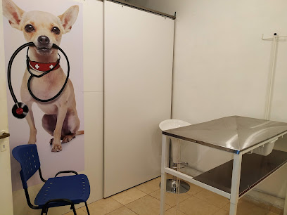 Centro Veterinario Dorrego Pet Shop Peluqueria Canina