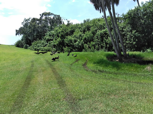 Golf Course «Buffalo Creek Golf Course», reviews and photos, 8100 69th St E, Palmetto, FL 34221, USA