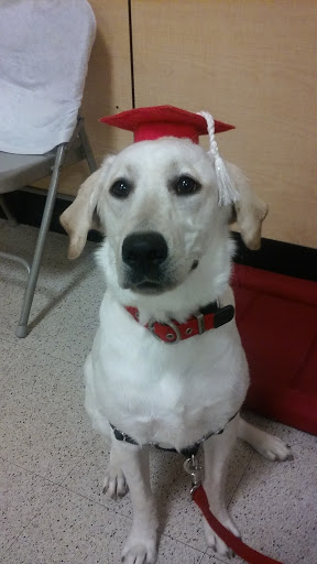 Pet Supply Store «PetSmart», reviews and photos, 14137 Rivergate Pkwy, Charlotte, NC 28273, USA