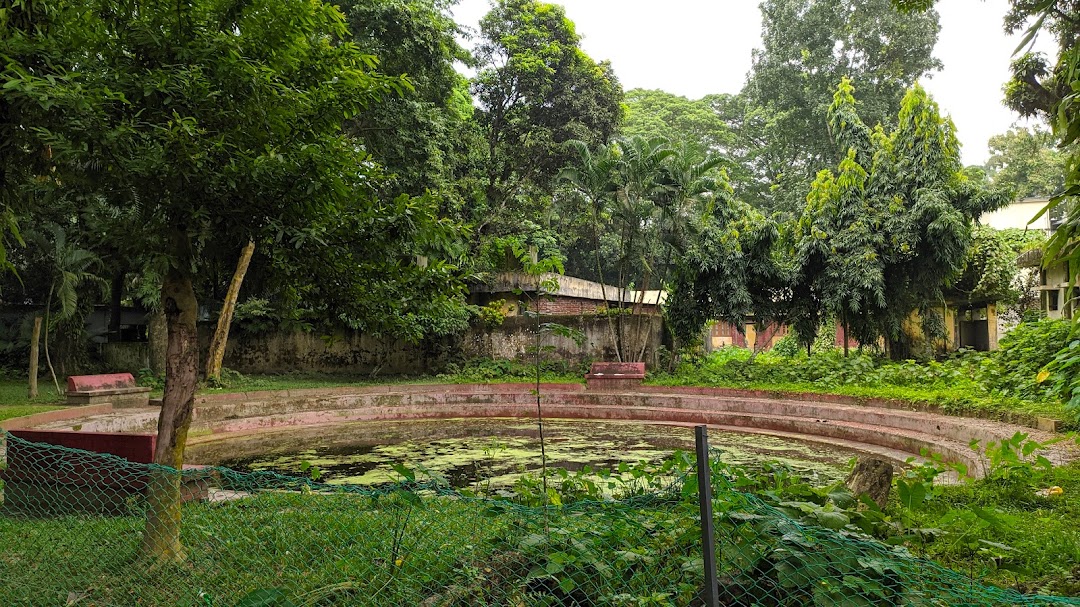 ডিমপুকুর পাড়