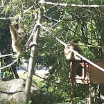 Photo n° 14 de l'avis de Sonia.n fait le 08/08/2022 à 23:20 pour Zoo d'Amiens Métropole à Amiens