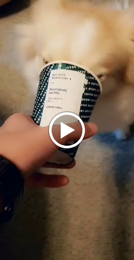 Coffee Shop «Starbucks», reviews and photos, 16852 NW Military Hwy, Shavano Park, TX 78231, USA